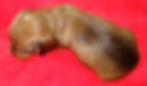 Remutaka (b) profile