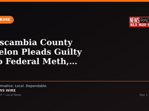 Escambia County Felon Pleads Guilty to Federal Meth, Gun Charges