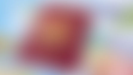 98 nhà đầu tư nước ngoài đã được cấp quốc tịch Bulgaria thông qua đầu tư