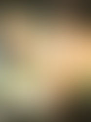 Maison & Objet : tendance HOME OFFICE