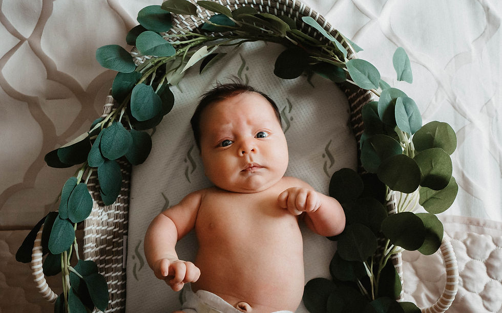 Newborn