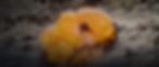 munitions-hero-feed.jpg