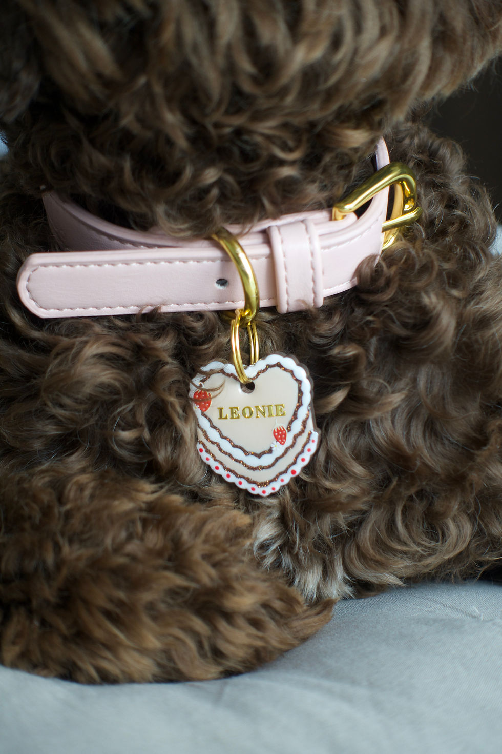 Miniature : La médaille FRAISE CLASSIQUE ♡