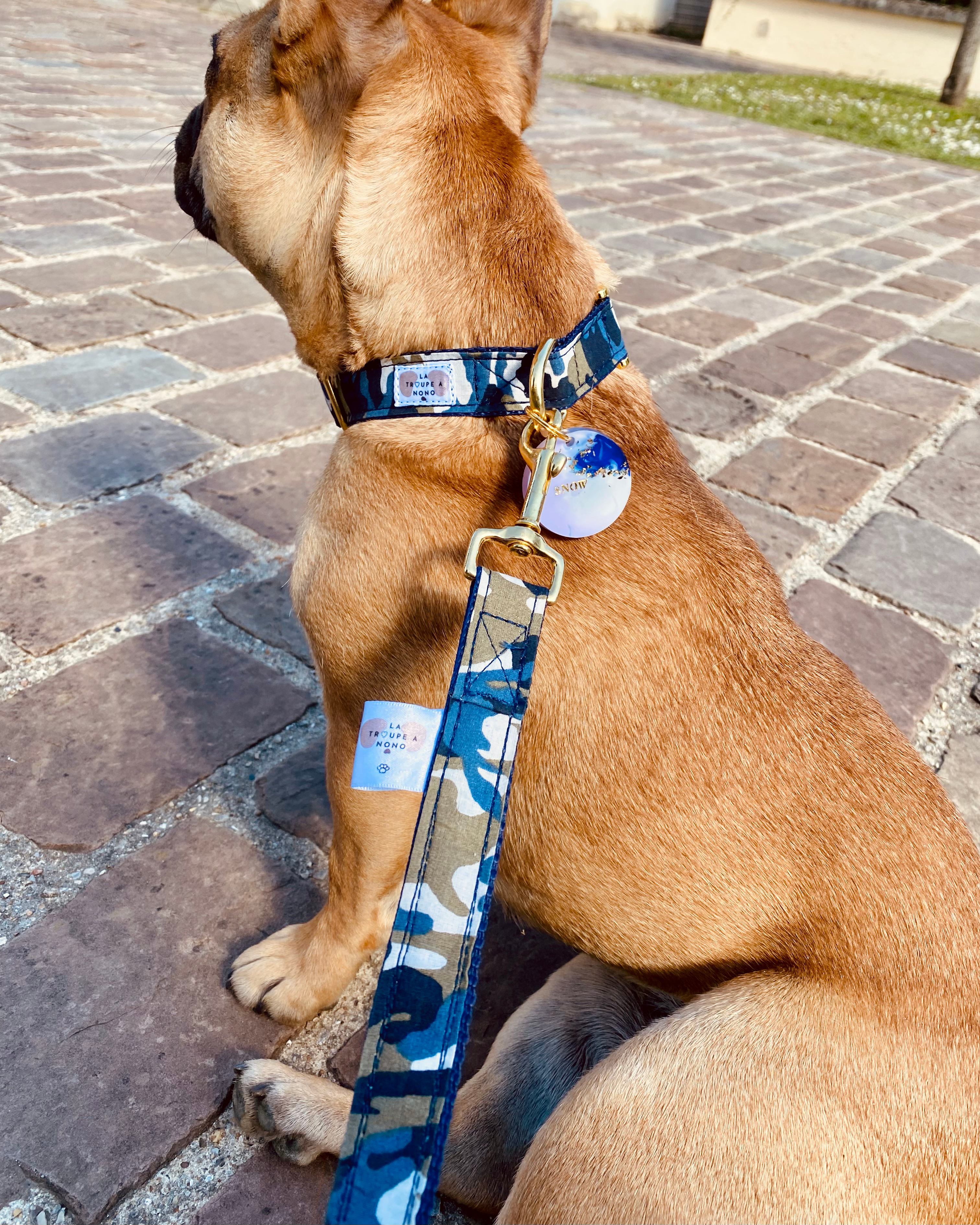 Laisse Midnight Blue