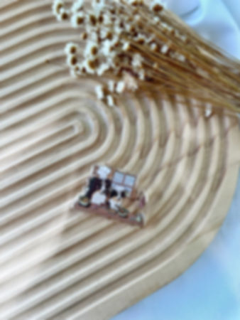 Pin's Nono x Paddy les cuistots ♡