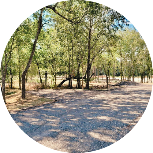 Big Tex Campgrounds photo 2