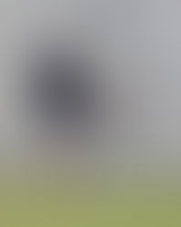 Los Guerreros Del Fortín se enfrentan en La Bombonerita a Deportivo Táchira por la Jornada 10.