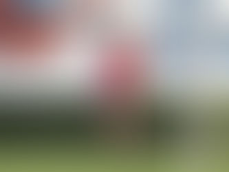 Academia Puerto Cabello recibe a UCV por la jornada 20 de Liga futve