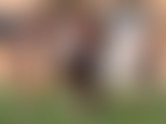 Academia Puerto Cabello viaja a la capital para enfrentar al Caracas FC