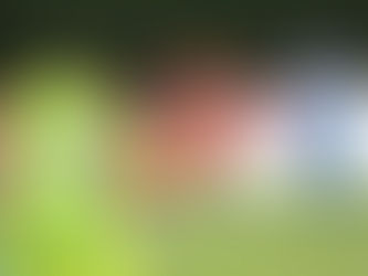 Academia Puerto Cabello no pudo en casa frente a Hermanos Colmenarez.