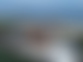 Ciudad Academia Puerto Cabello abrió sus puertas con el Festival de Festivales de Carabobo