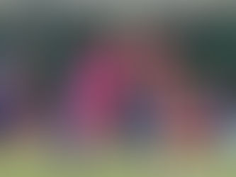 Academia igualó ante La Guaira en la Jornada 29