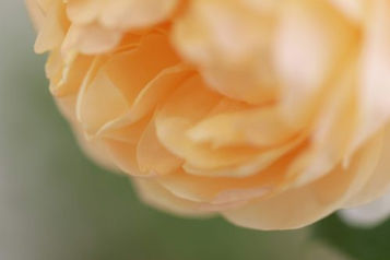 5月22日、本が出ます!