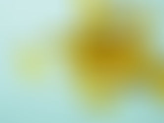 Omega 3 Nedir? Ne İşe Yarar?