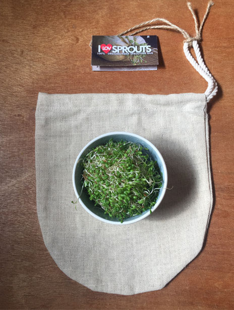 I LOV SPROUT POUCH