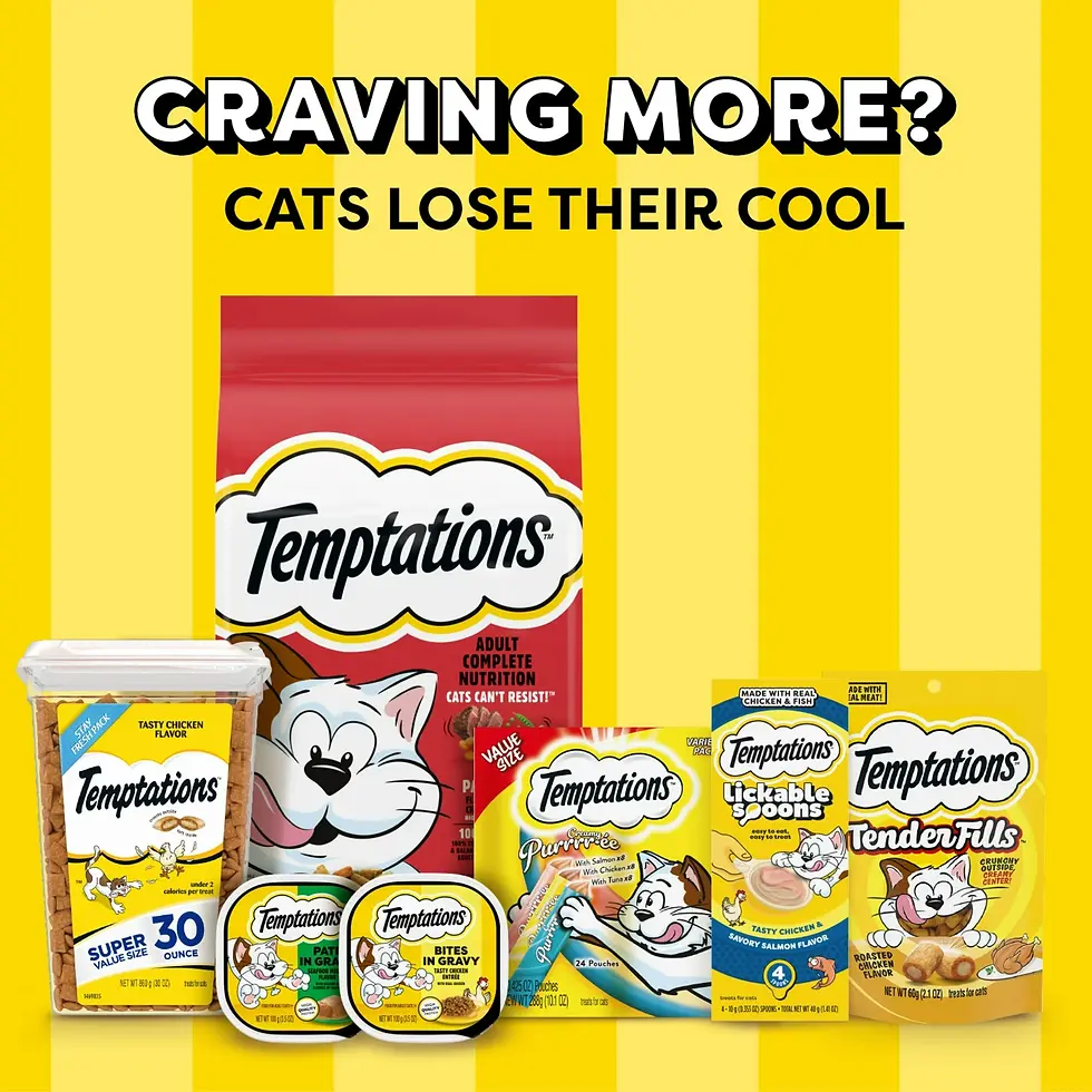 Miniatura: Temptations Classic Savory Salmon Flavor Crunchy And Soft Treats For Cats, 30 Oz