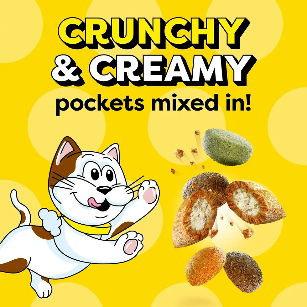 Miniatura: Temptations Kitten Tasty Chicken & Dairy Flavor Dry Cat Food For Kittens, 3.15 L