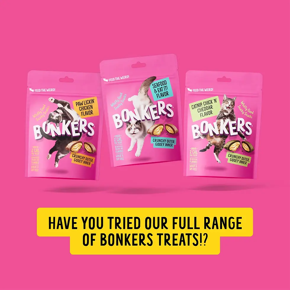 Miniatura: BONKERS Cat Bites, Catnip & Chick 'N' Cheddar Flavor, Crunchy & Soft Cat Snacks,