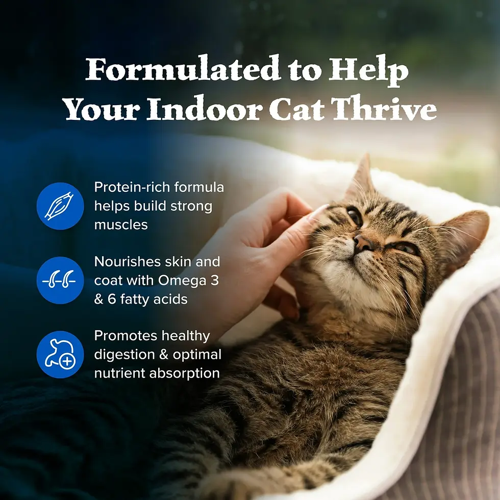 Miniatura: Blue Buffalo Wilderness Natural High-Protein, Grain-Free Dry Cat Food, Chicken,