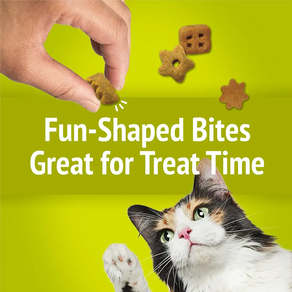 Miniatura: Purina Friskies Party Mix Morning Munch Crunch Egg, Bacon and Cheese Flavors Cat