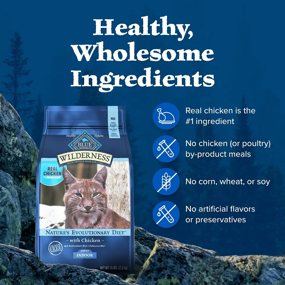 Miniatura: Blue Buffalo Wilderness Natural High-Protein, Grain-Free Dry Cat Food, Chicken,