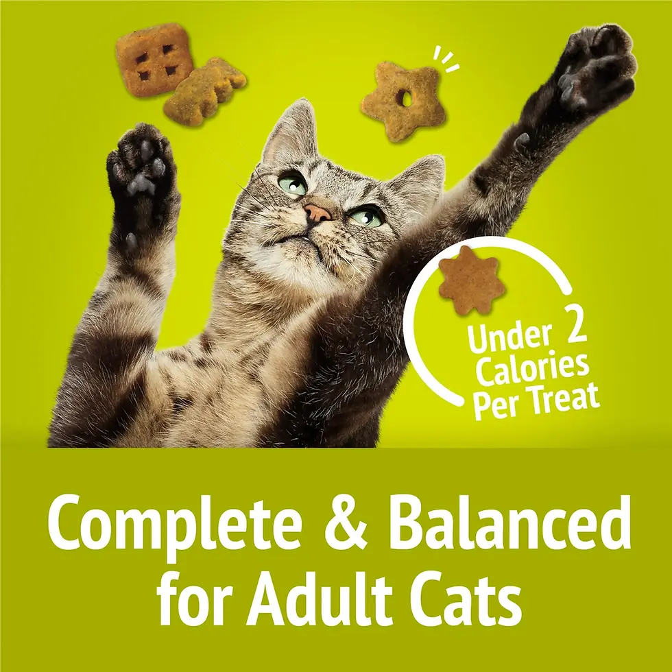 Miniatura: Purina Friskies Party Mix Morning Munch Crunch Egg, Bacon and Cheese Flavors Cat