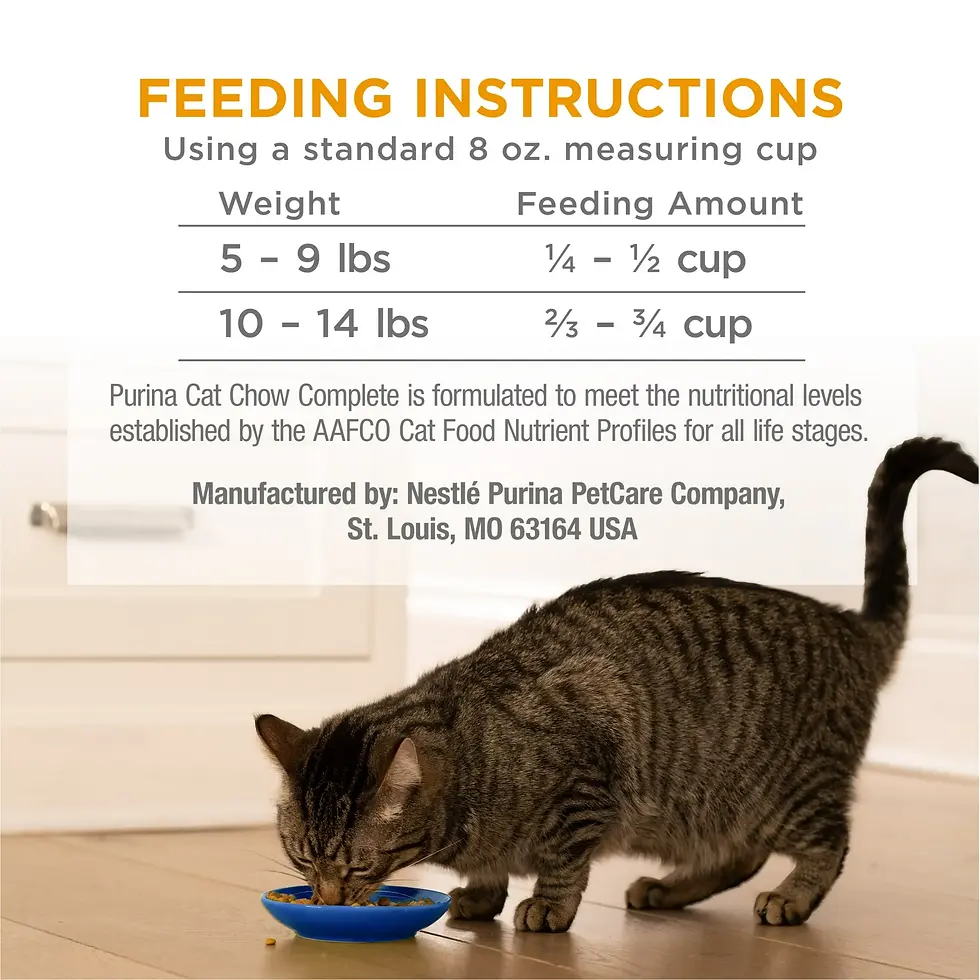 Miniatura: Purina Cat Chow Complete High Protein Dry Cat Food with Real Chicken, 6.3 lb Bag