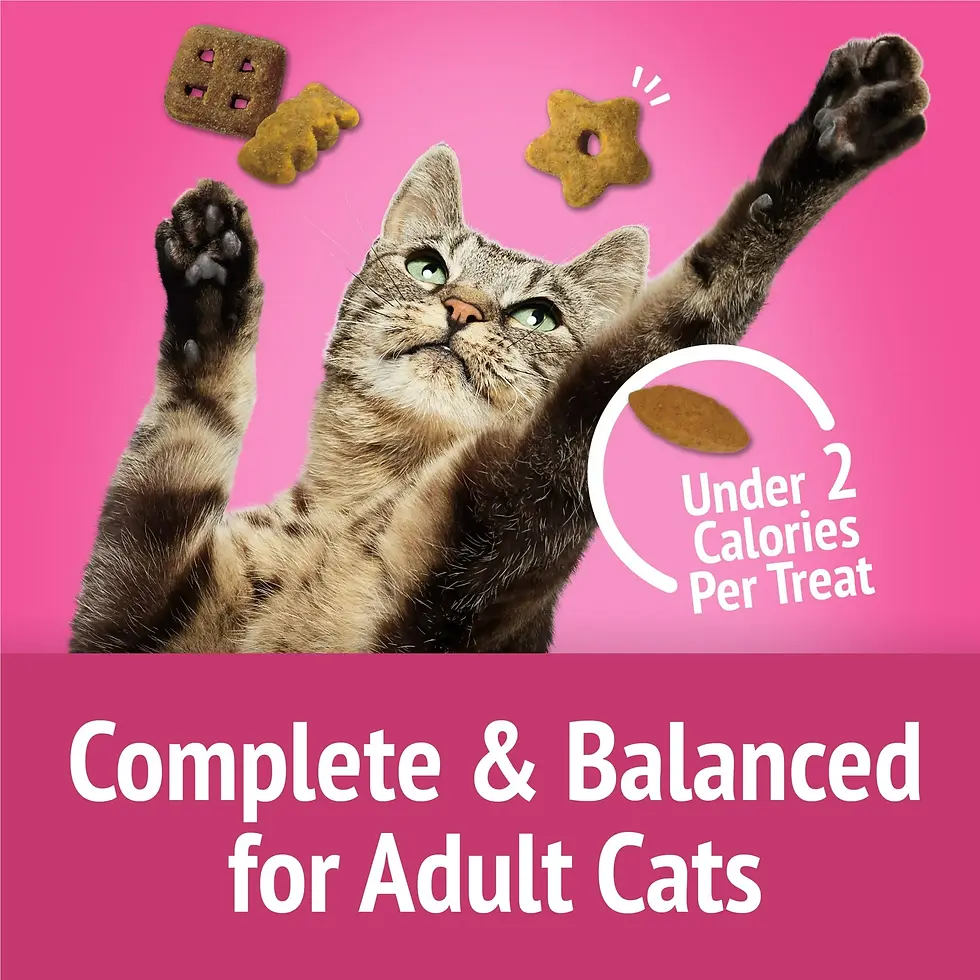 Miniatura: Purina Friskies Party Mix California Crunch With Chicken and Flavors of Turkey a