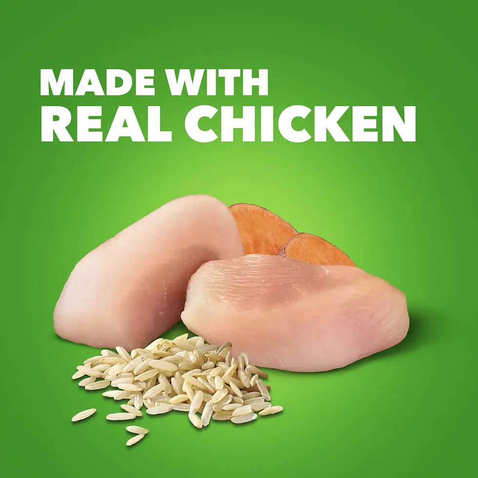 Miniatura: Iams Proactive Health Chicken And Whole Grain Rice Wet Dog Food, 13 Oz Cans (6 P