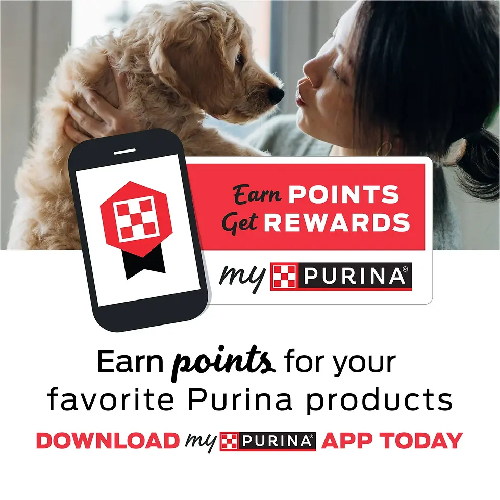 Miniatura: Purina Friskies Cat Treats, Party Mix Gravy-licious Crunch Chicken and Gravy Fla