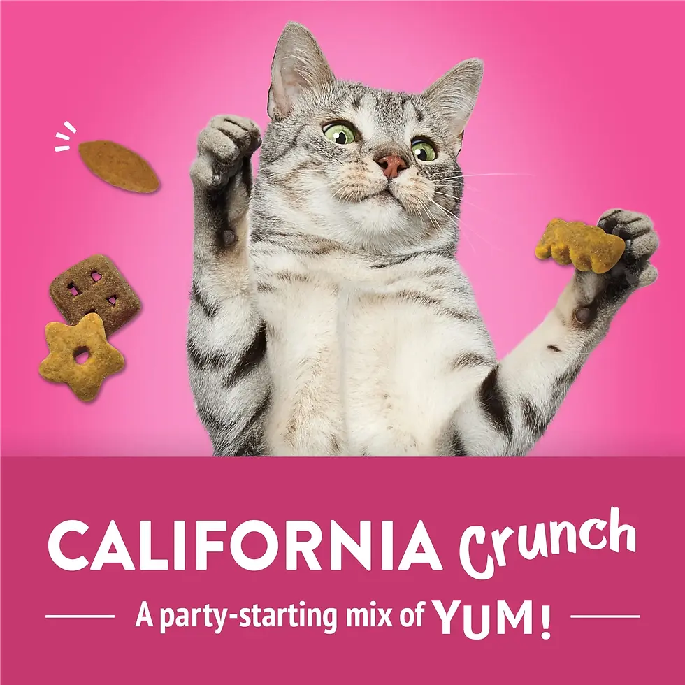 Miniatura: Purina Friskies Party Mix California Crunch With Chicken and Flavors of Turkey a