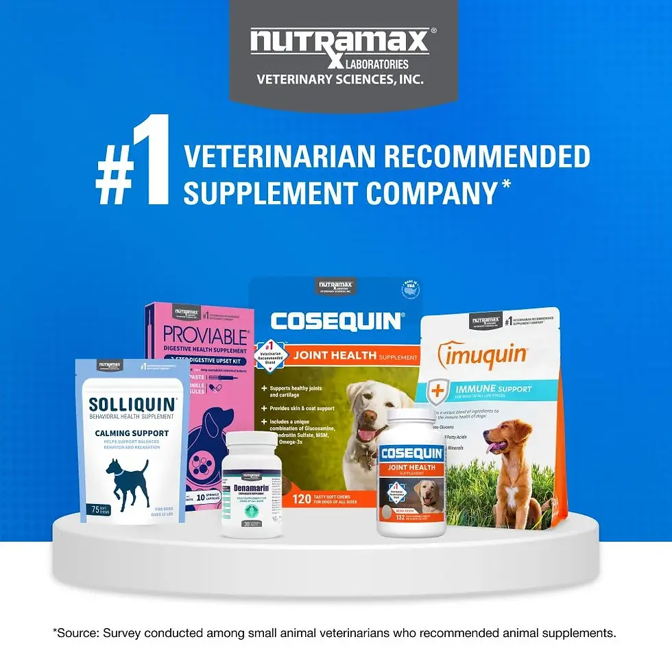 Miniatura: Nutramax Cosequin for Dogs Joint Health Supplement, Chewable Tablets, 60 Count