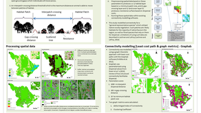 Connectivity Modelling of Fragmented Landscapes