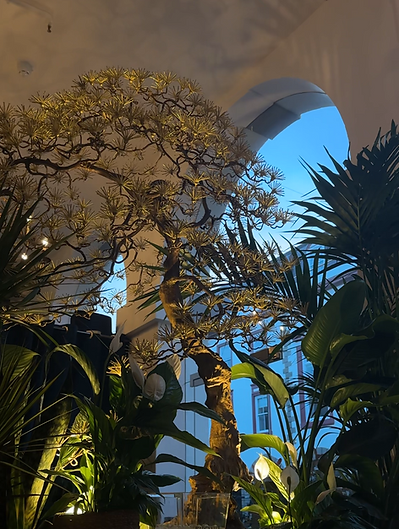 View recent photos.jpeg.png