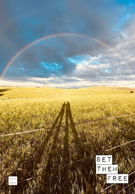 Thumbnail: Wild Peace Cards Deck 3 - Wisdom Along The Awakening Path