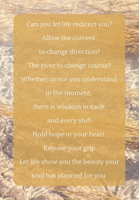 Thumbnail: Wild Peace Cards Deck 2 - Learning To Trust Life