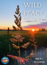 Wild Peace card collections