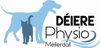 Déiere Physio Mellerdal.jpg