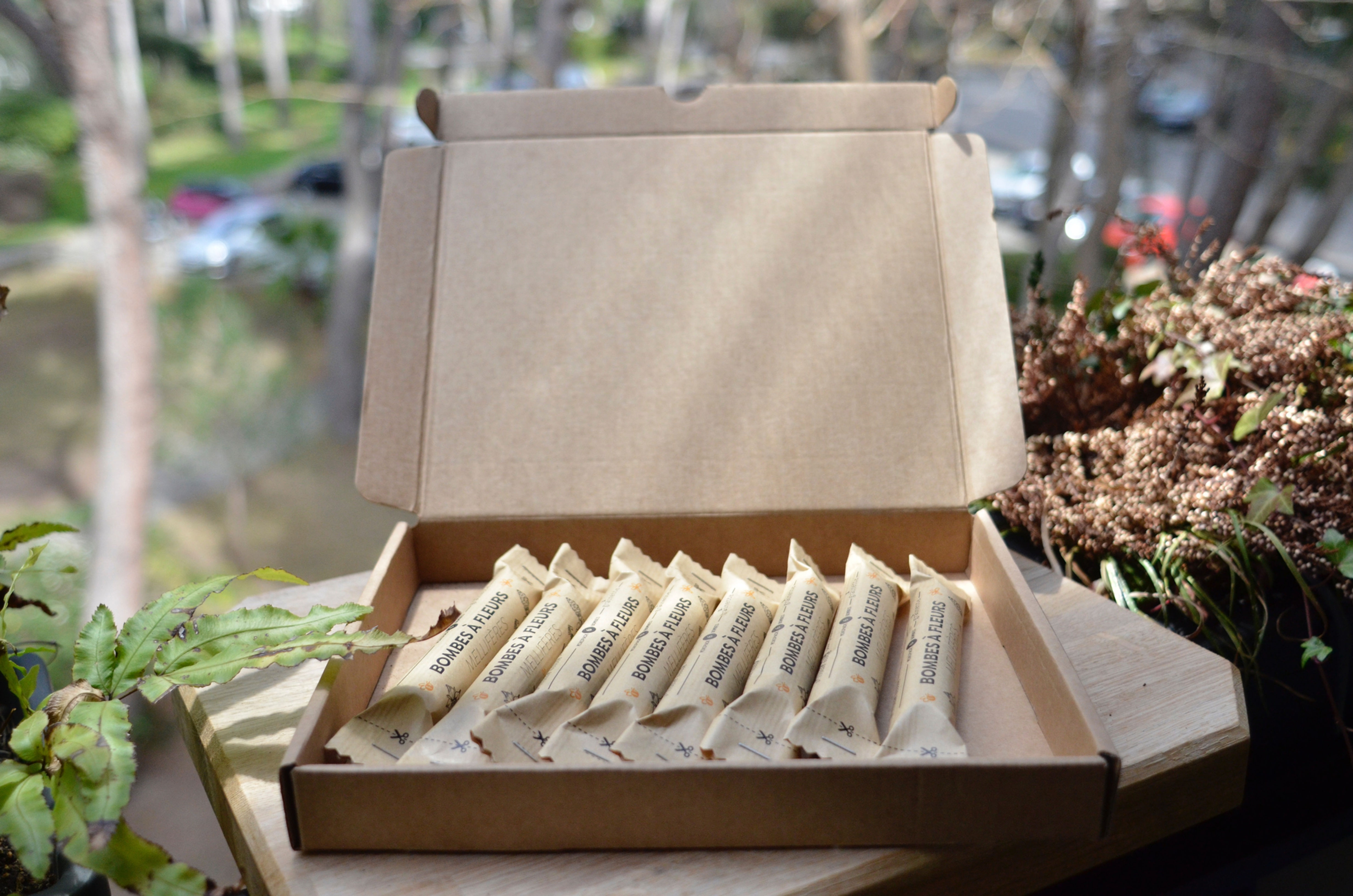 Pack 10 tubes de bombes à graines mellifères BIO