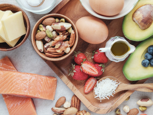 Animal Protein vs Plant Protein