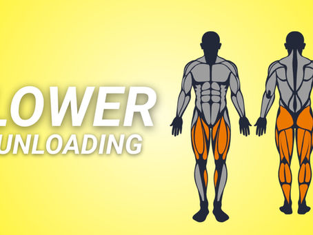 Lower Body Day (GYM - TOLERANCE)