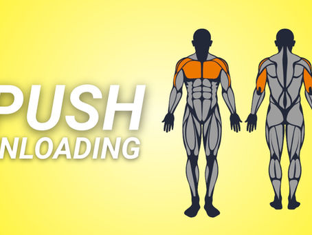 Push Day (GYM - TOLERANCE)