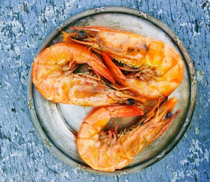 shrimp.jpeg
