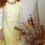 Thumbnail: Aam Ras Muslin Full set