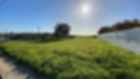 IMG_6521.jpeg