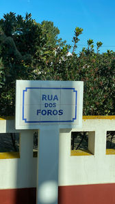 IMG_6523.jpeg