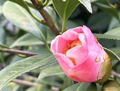 IMG_9152_edited.jpg