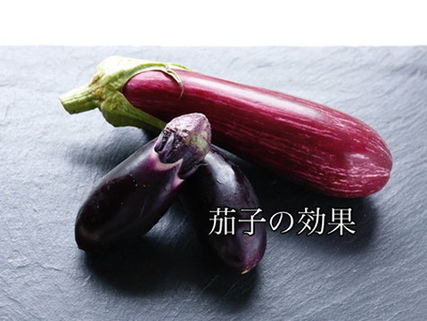 夏野菜の力