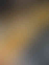 Fried Seafood tray at Freiduria Marisqueria