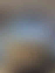 Menu at Freiduria Marisqueria Las Flores